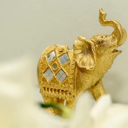 度假居 Adriana's Summer House